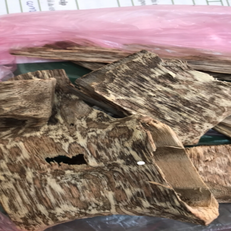 tram-o tram o.png (887 KB)